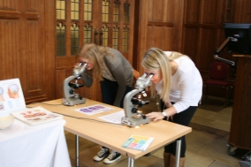 Brain display: viewing examples of real brains from different animals and tissue sections under the microscope showed the anatomy of the brain